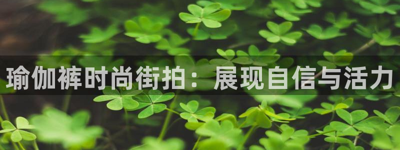 欧洲杯押注