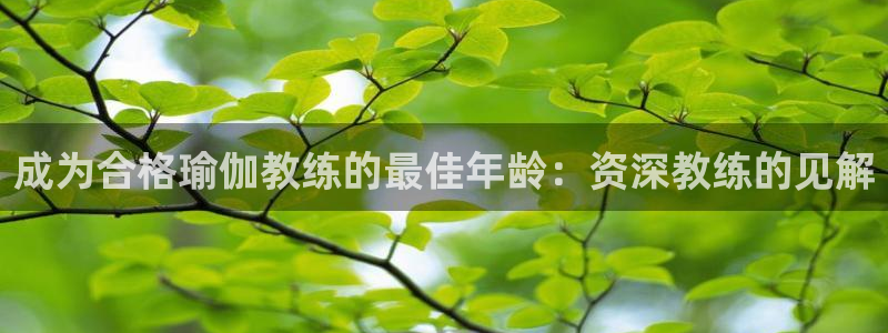欧洲杯投注在哪找网址