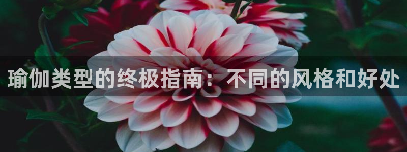 欧洲杯kaiyun