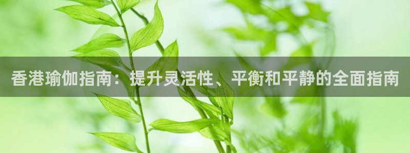 欧洲杯靠谱买球平台