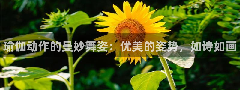 欧洲杯指定投注网站