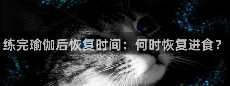欧洲杯投注官方网站入口