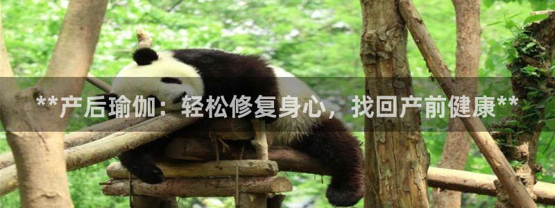 2024欧洲杯全部赛程
