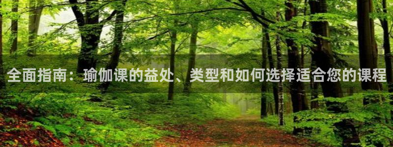 2024欧洲杯全部赛程